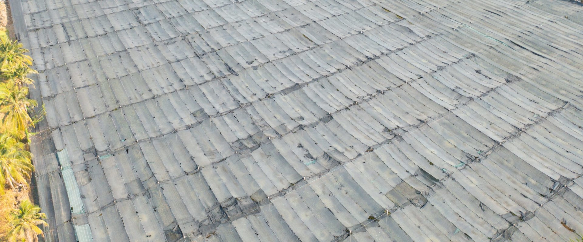 Common Problems in Commercial Roofs: What You Need to Know