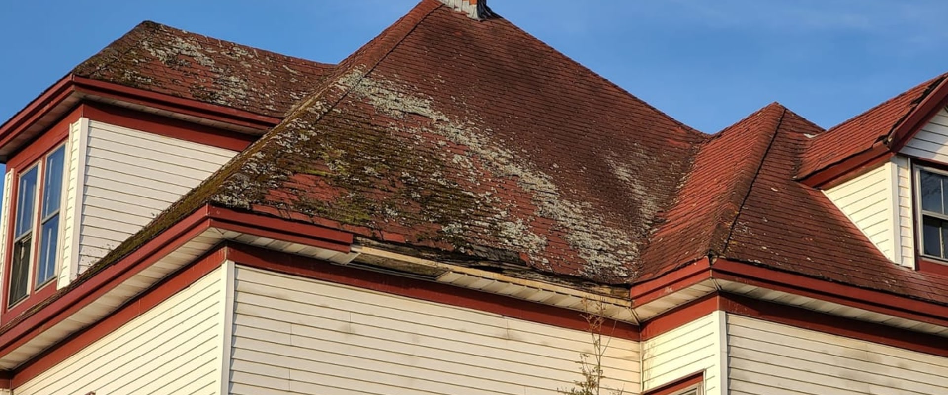 Preventing Mold and Mildew Growth on Your Roof