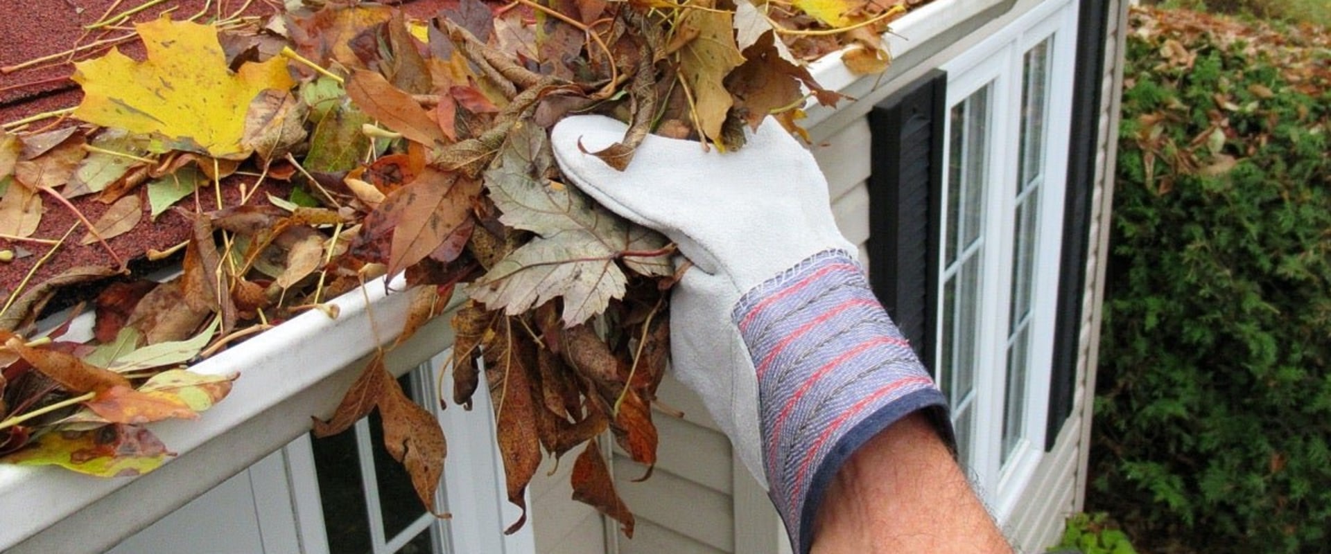 Cleaning Gutters and Downspouts: Tips for Maintaining Your Roof