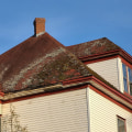 Preventing Mold and Mildew Growth on Your Roof