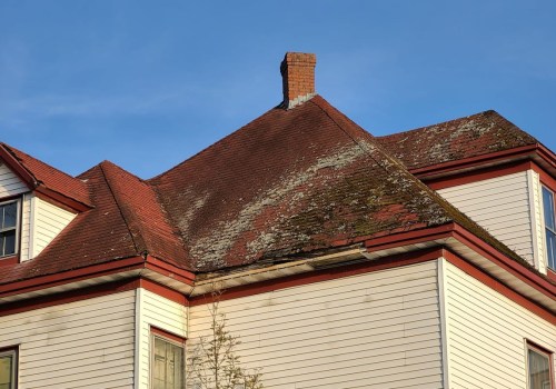 Preventing Mold and Mildew Growth on Your Roof